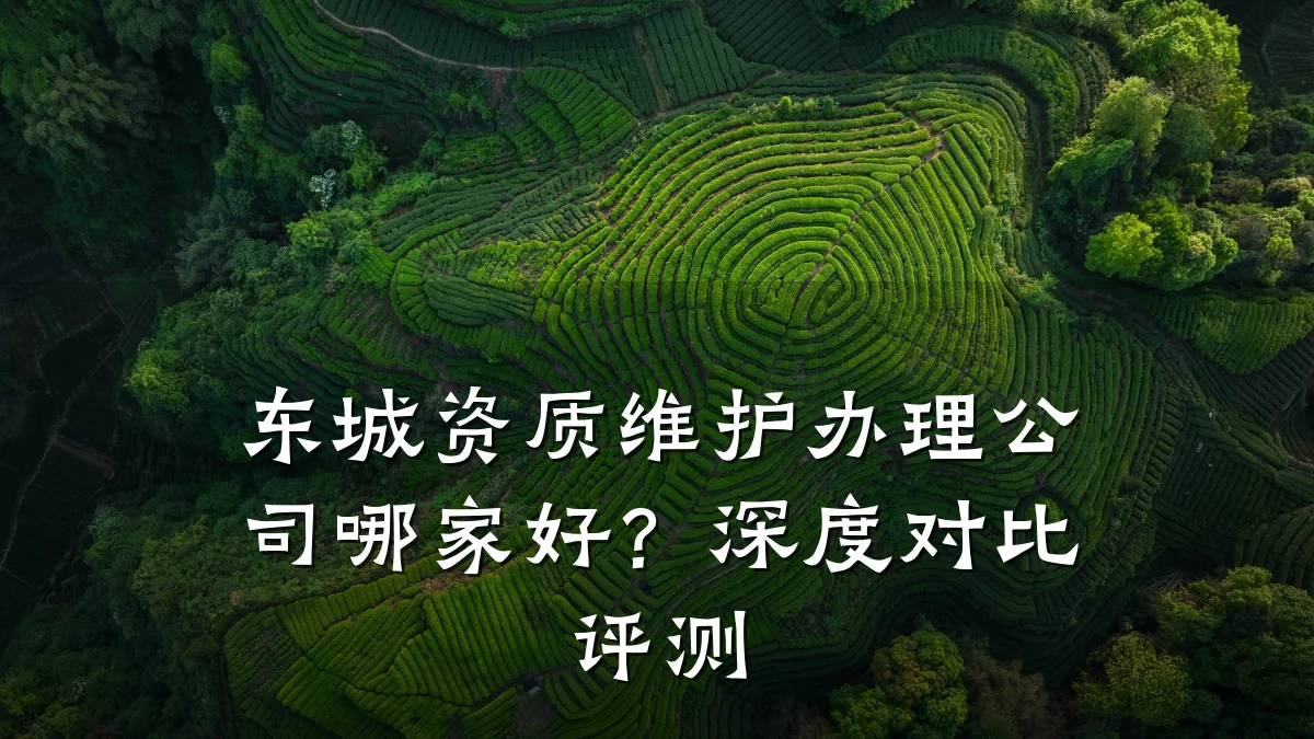 东城资质维护办理公司哪家好？深度对比评测