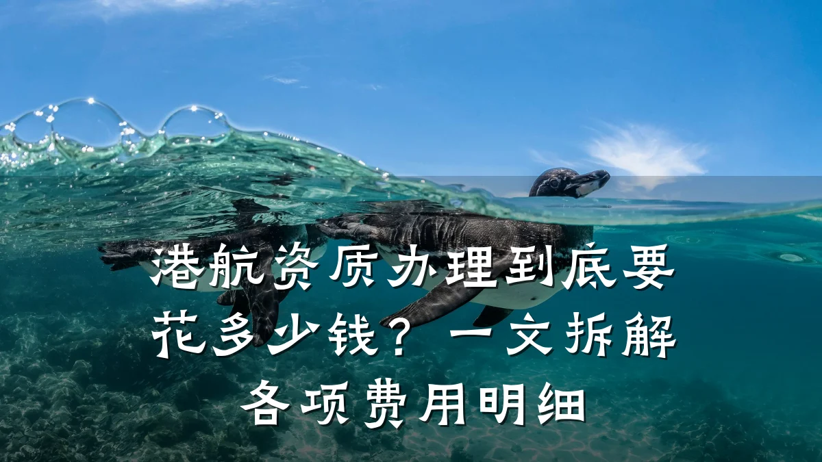 港航资质办理到底要花多少钱?一文拆解各项费用明细