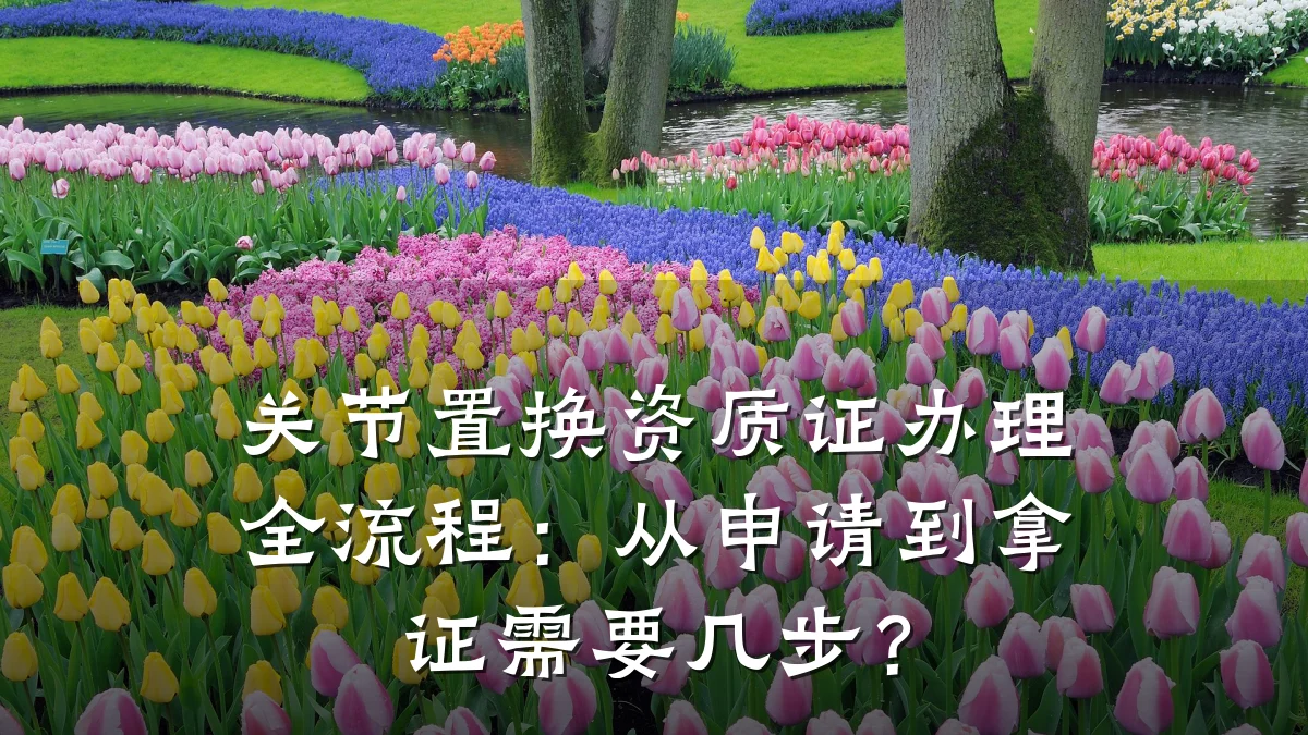 关节置换资质证办理全流程:从申请到拿证需要几步?