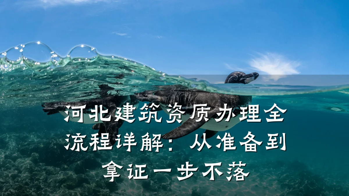 河北建筑资质办理全流程详解:从准备到拿证一步不落