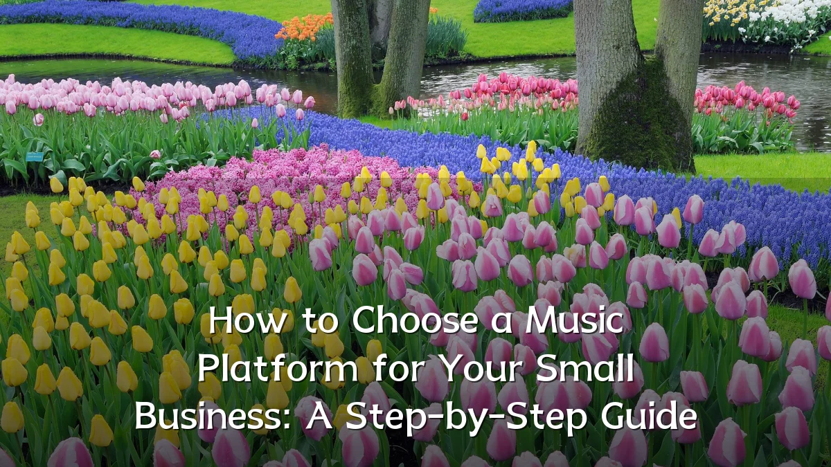 How to Choose a Music Platform for Your Small Business: A Step-by-Step Guide