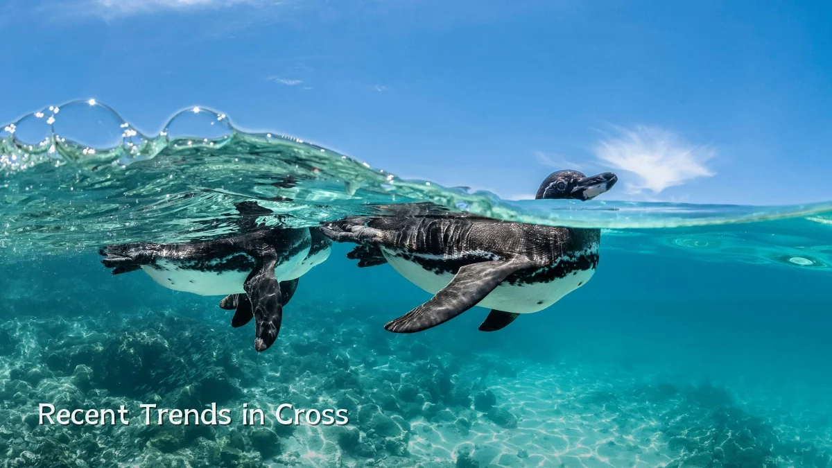 Recent Trends in Cross