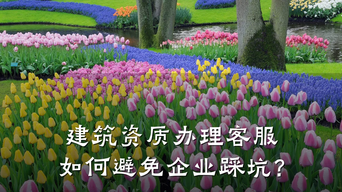 建筑资质办理客服如何避免企业踩坑？