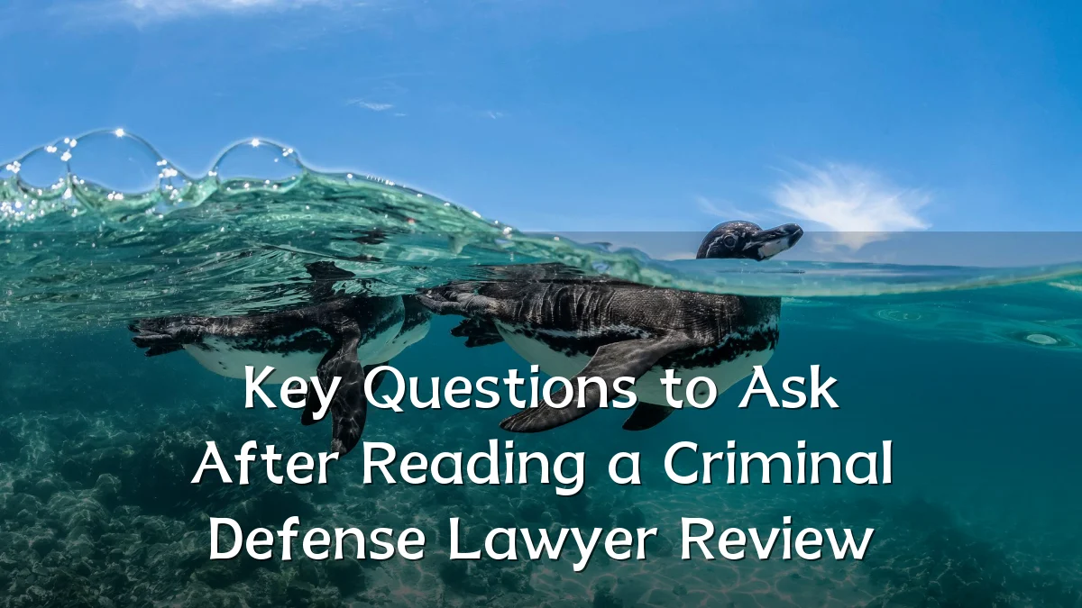 Key Questions to Ask After Reading a Criminal Defense Lawyer Review