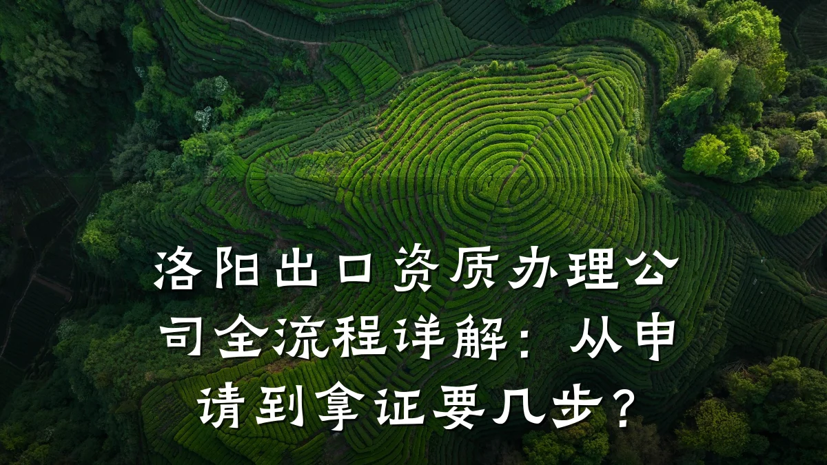 洛阳出口资质办理公司全流程详解：从申请到拿证要几步？