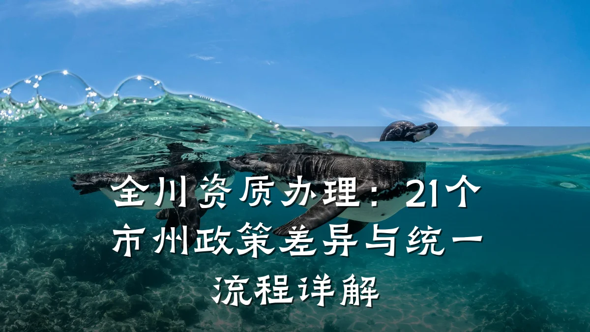 全川资质办理:21个市州政策差异与统一流程详解