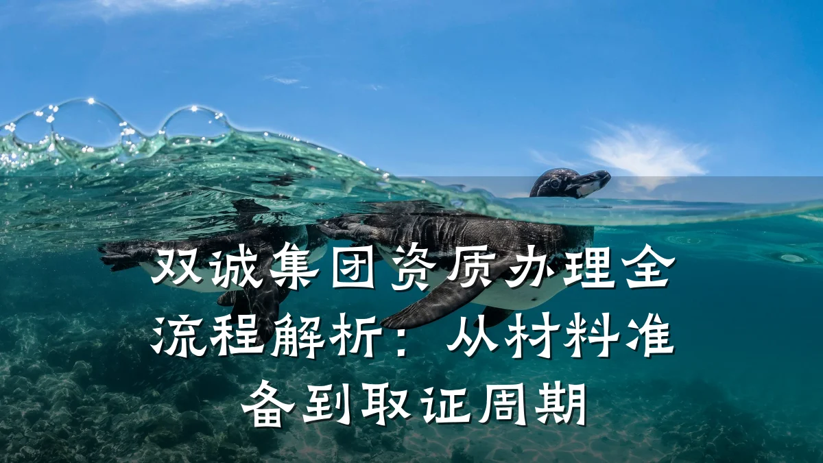双诚集团资质办理全流程解析：从材料准备到取证周期
