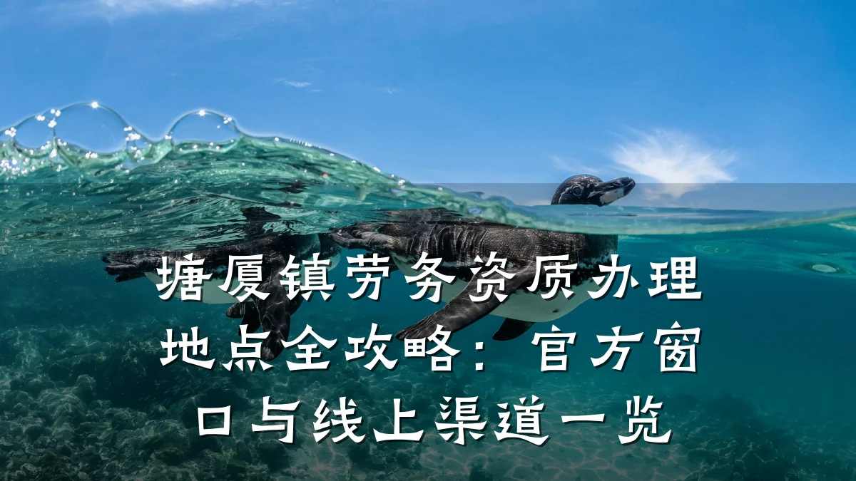 塘厦镇劳务资质办理地点全攻略：官方窗口与线上渠道一览