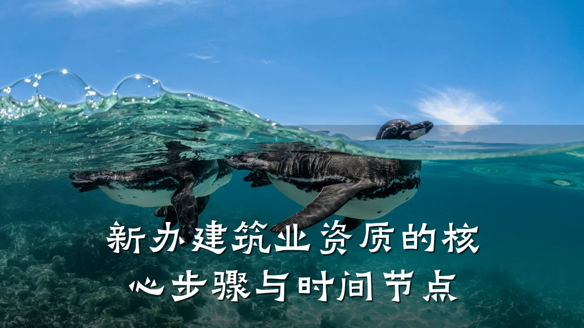 新办建筑业资质的核心步骤与时间节点