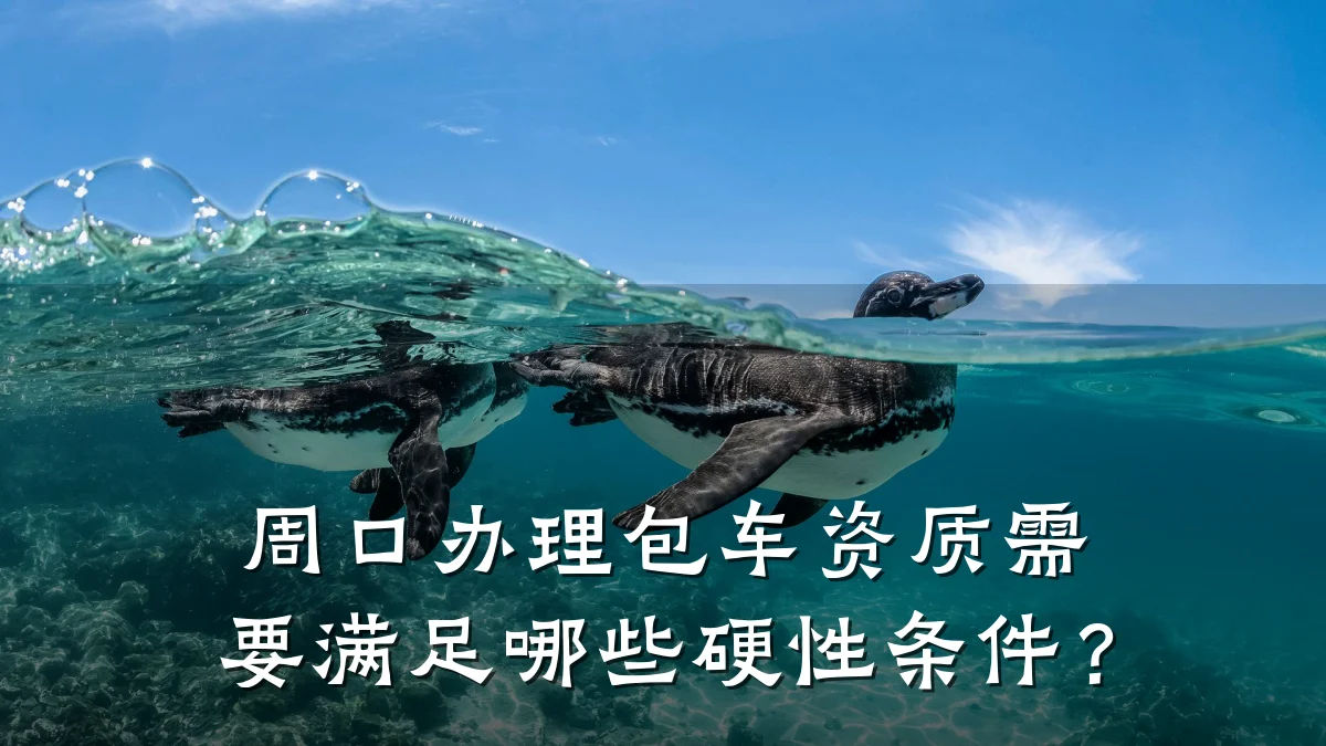 周口办理包车资质需要满足哪些硬性条件？