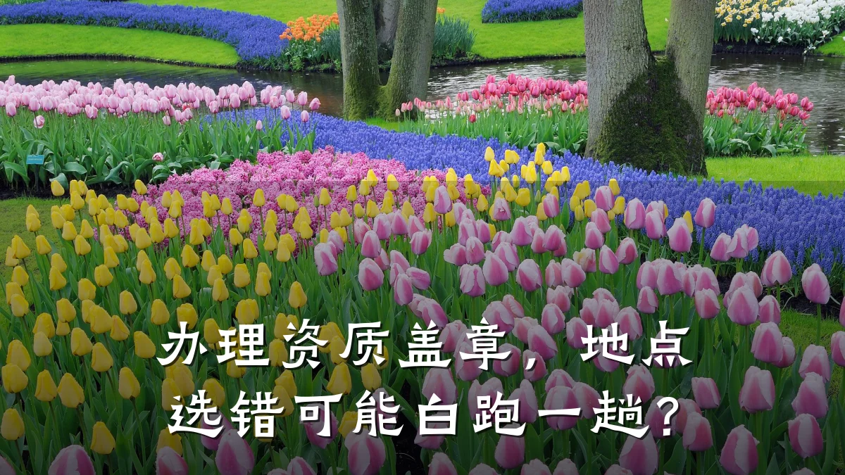 办理资质盖章，地点选错可能白跑一趟？