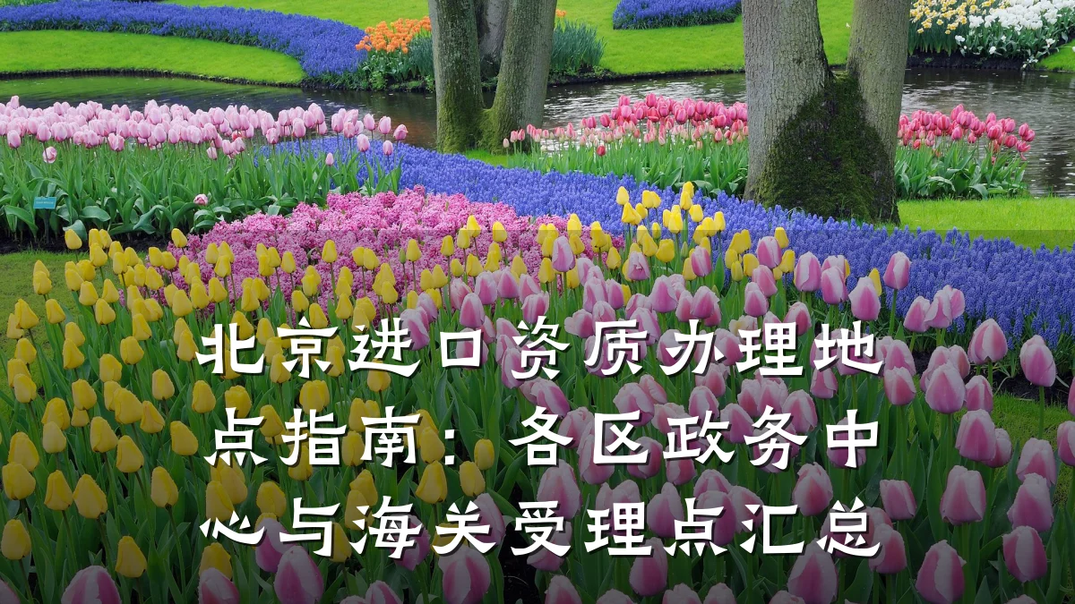 北京进口资质办理地点指南：各区政务中心与海关受理点汇总