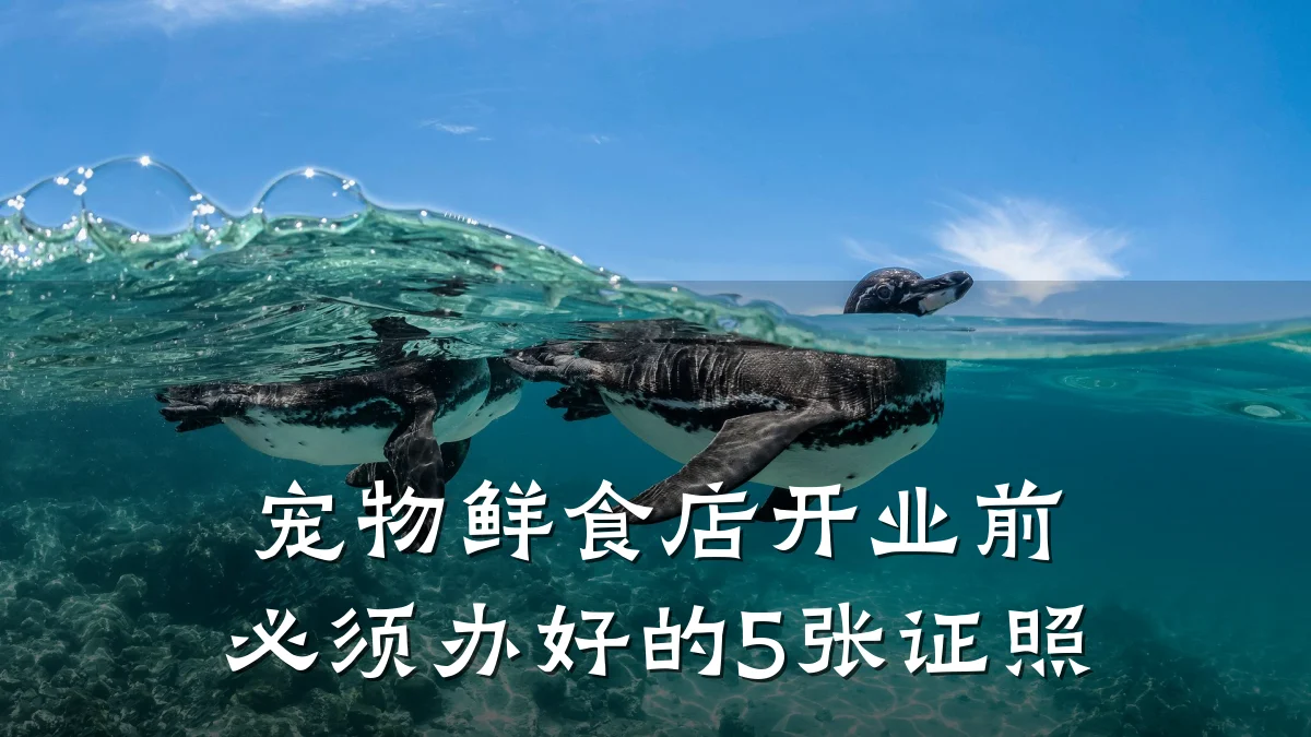 宠物鲜食店开业前必须办好的5张证照