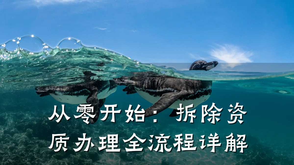 从零开始：拆除资质办理全流程详解