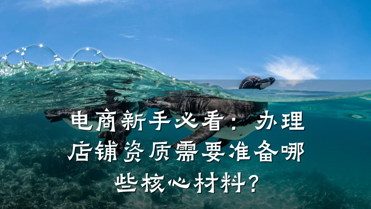 电商新手必看：办理店铺资质需要准备哪些核心材料？