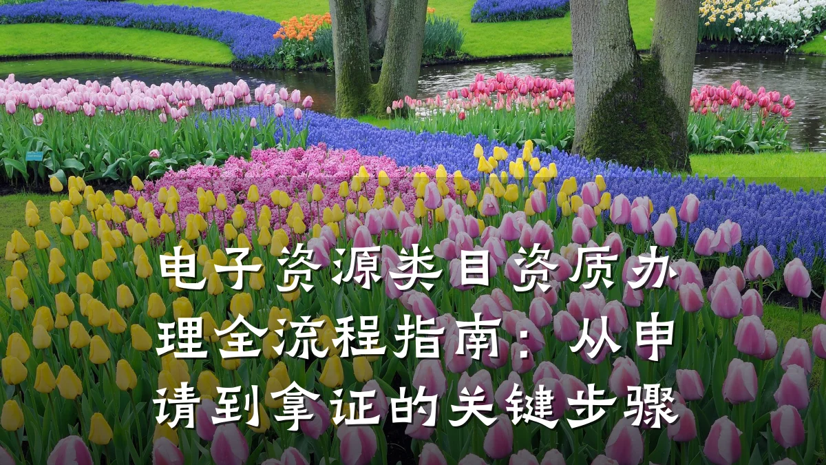 电子资源类目资质办理全流程指南:从申请到拿证的关键步骤