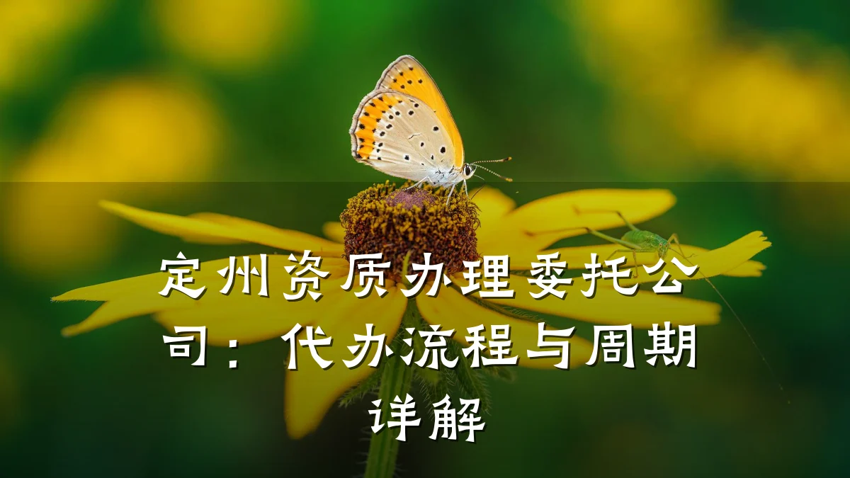 定州资质办理委托公司：代办流程与周期详解