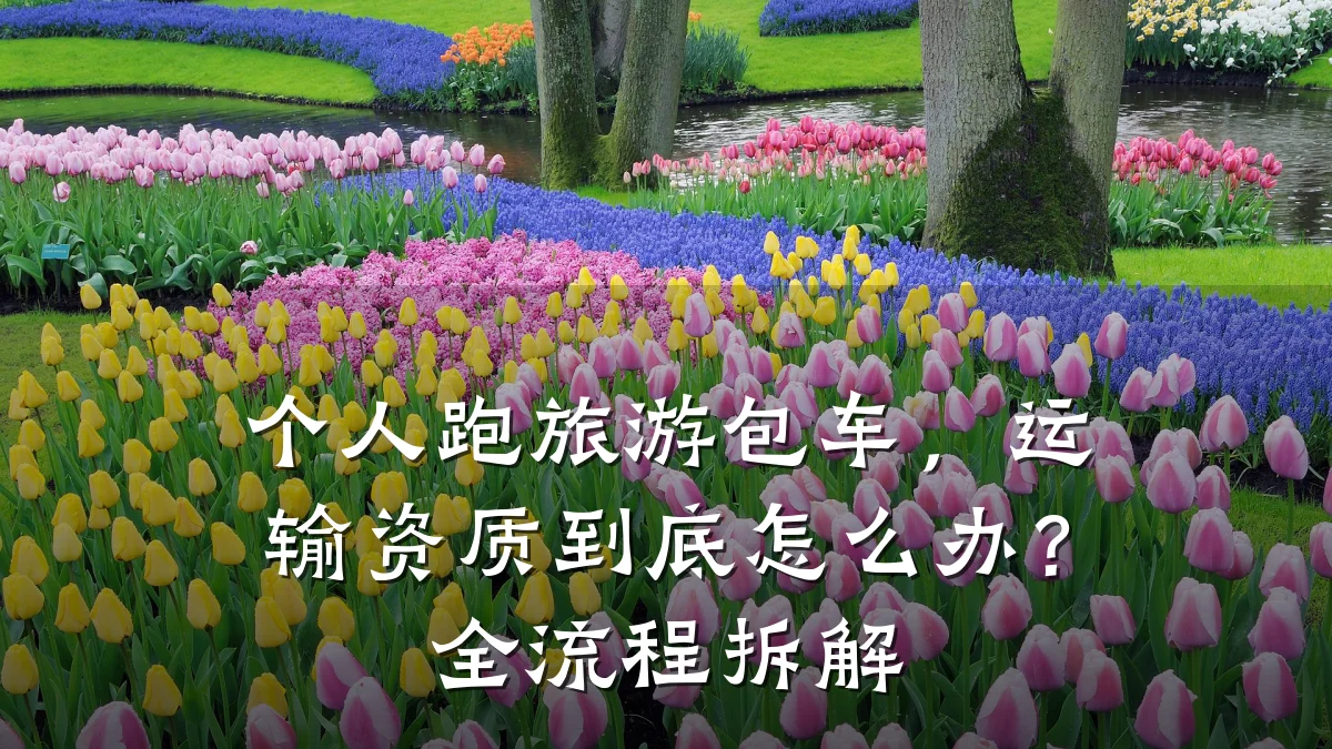 个人跑旅游包车，运输资质到底怎么办？全流程拆解