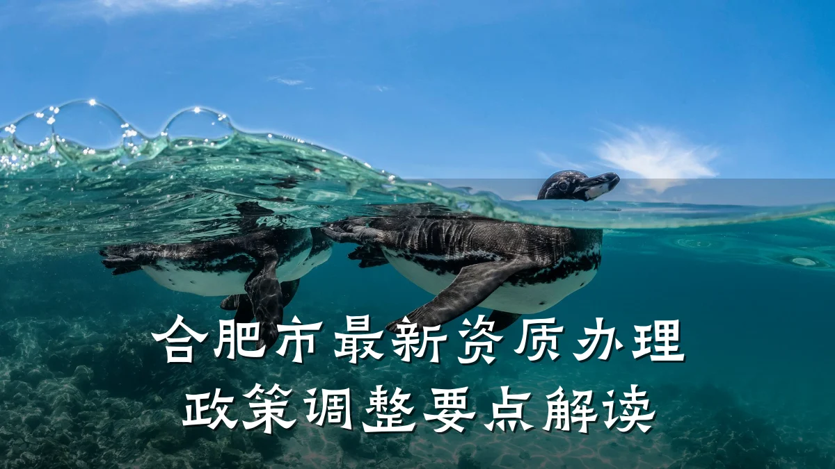合肥市最新资质办理政策调整要点解读