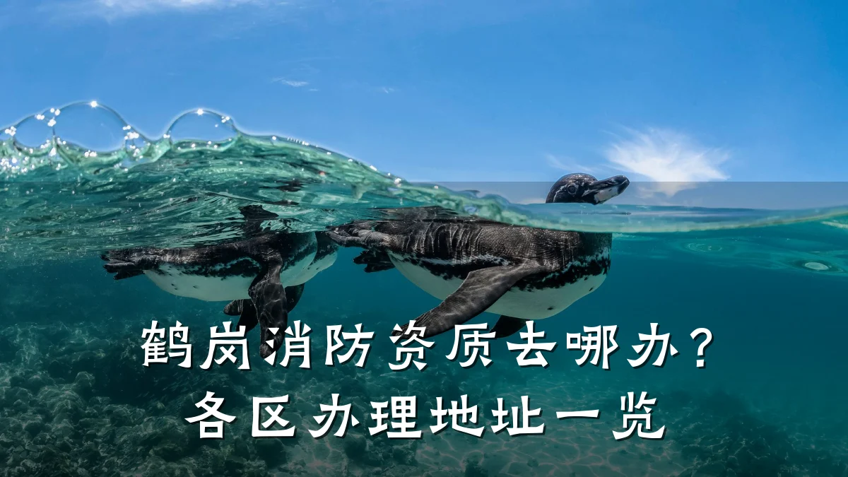 鹤岗消防资质去哪办?各区办理地址一览
