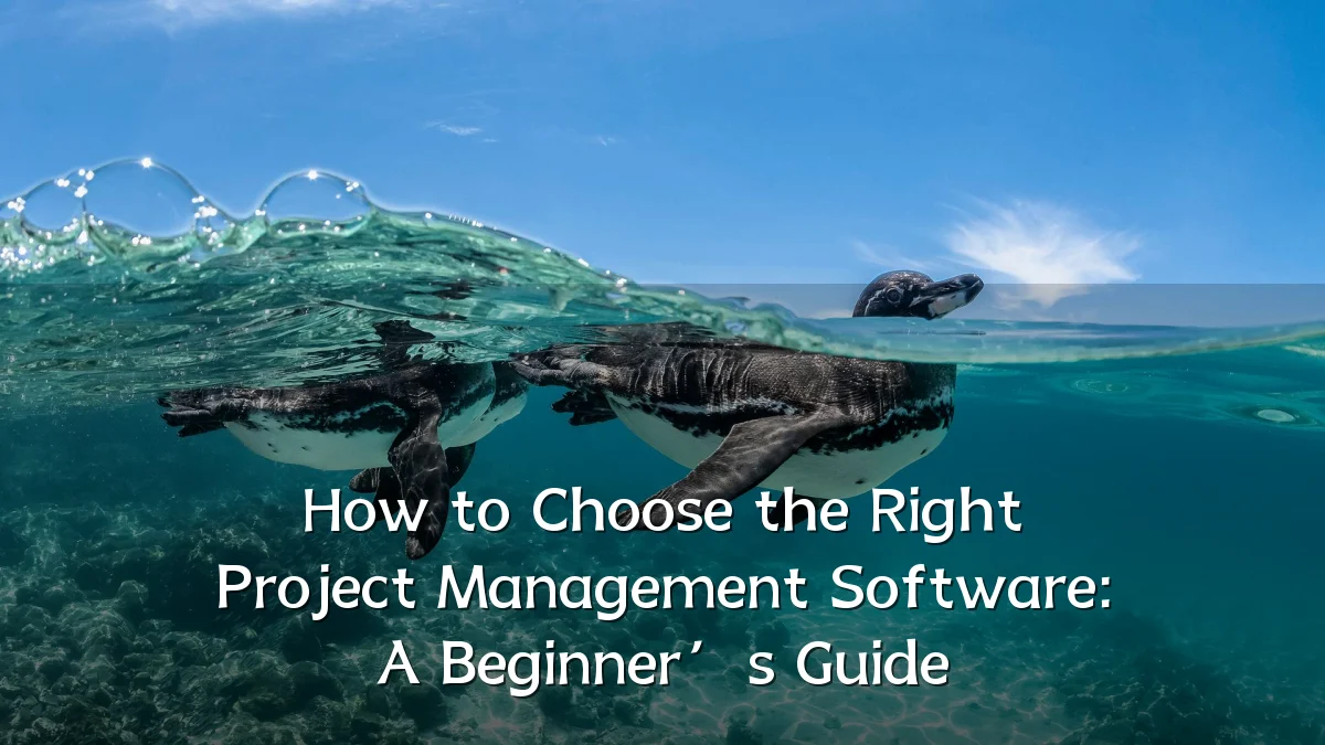 How to Choose the Right Project Management Software: A Beginner’s Guide