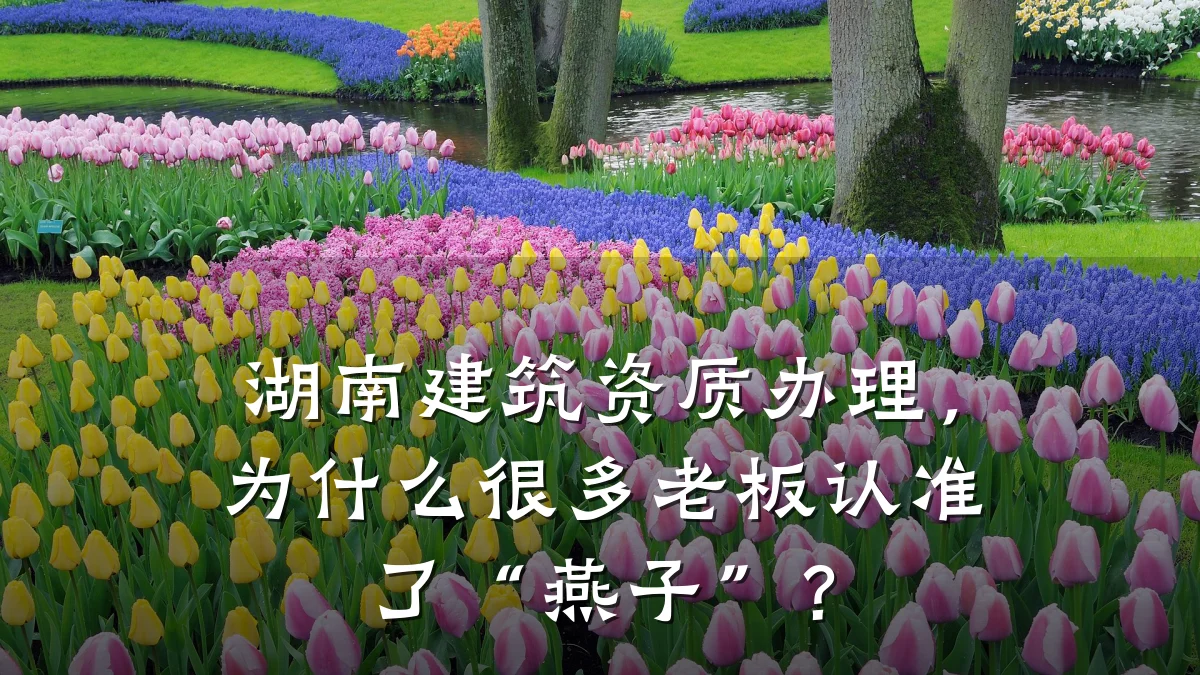 湖南建筑资质办理，为什么很多老板认准了“燕子”？