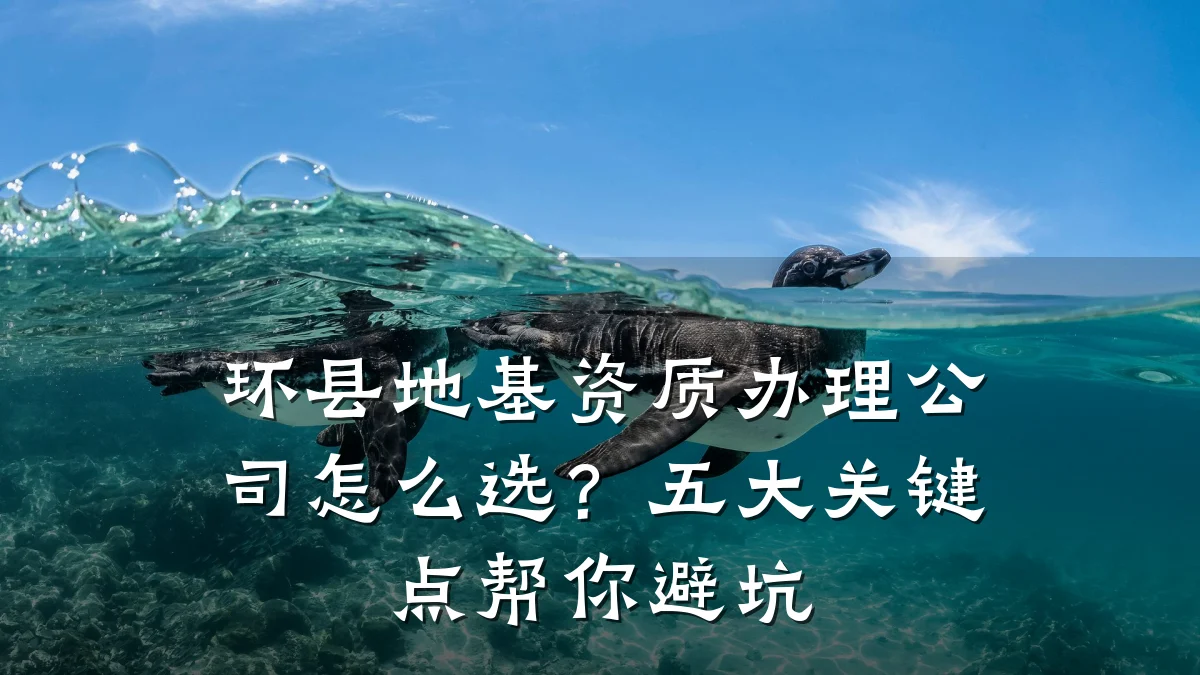 环县地基资质办理公司怎么选？五大关键点帮你避坑
