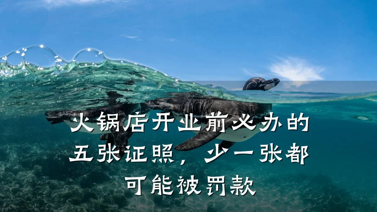 火锅店开业前必办的五张证照，少一张都可能被罚款