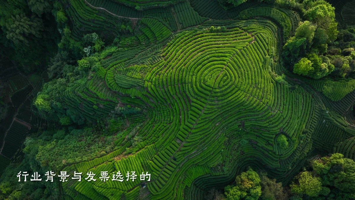 行业背景与发票选择的