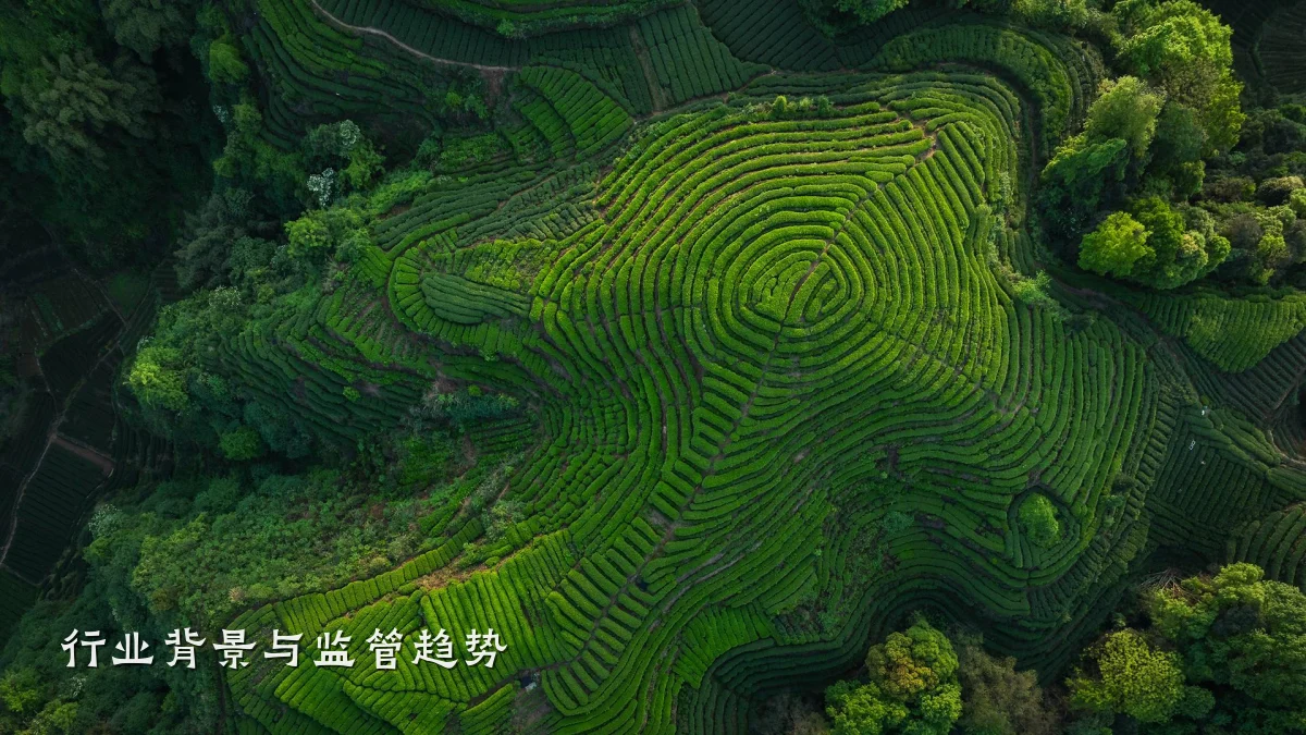 行业背景与监管趋势