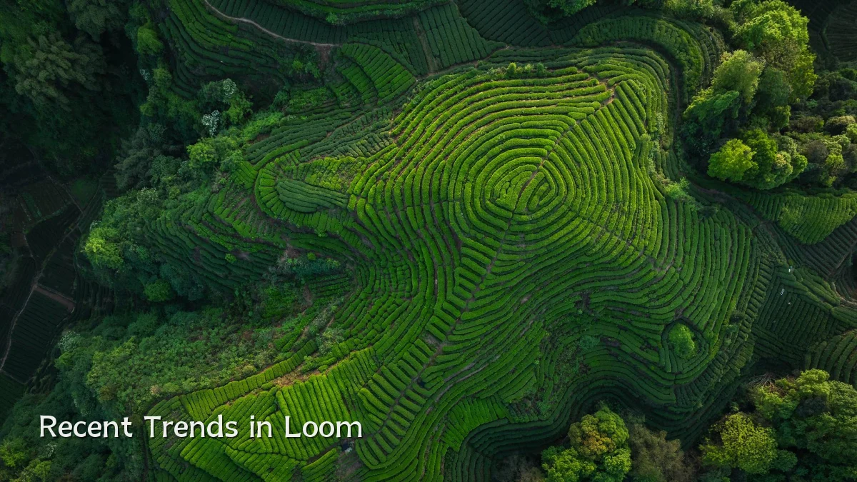 Recent Trends in Loom