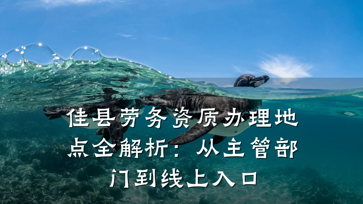 佳县劳务资质办理地点全解析:从主管部门到线上入口