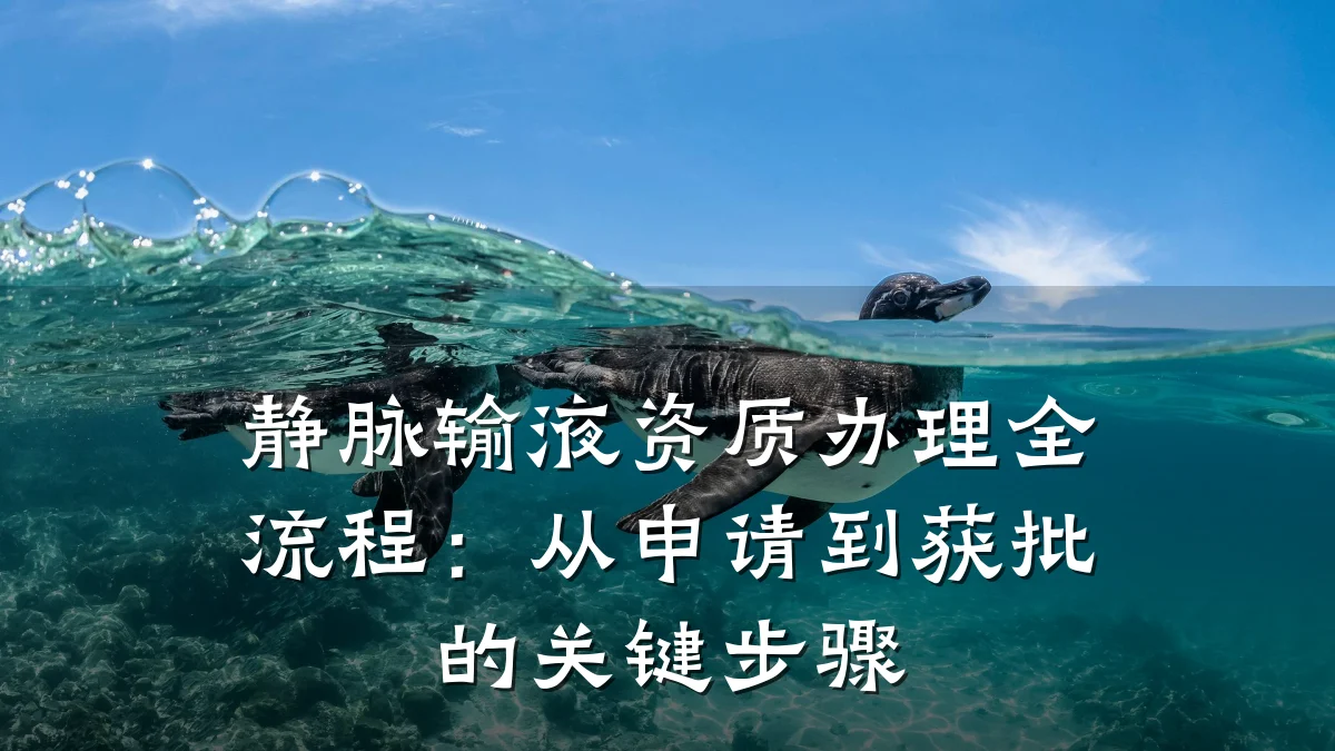 静脉输液资质办理全流程：从申请到获批的关键步骤