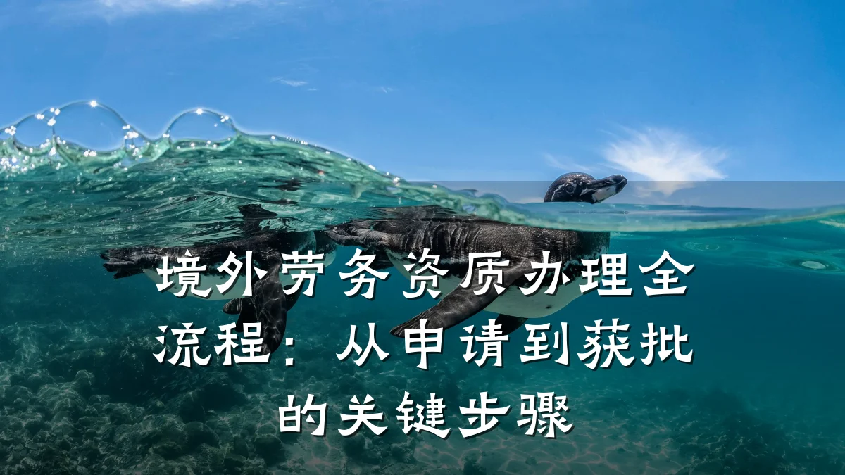 境外劳务资质办理全流程：从申请到获批的关键步骤