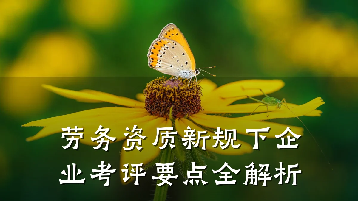 劳务资质新规下企业考评要点全解析