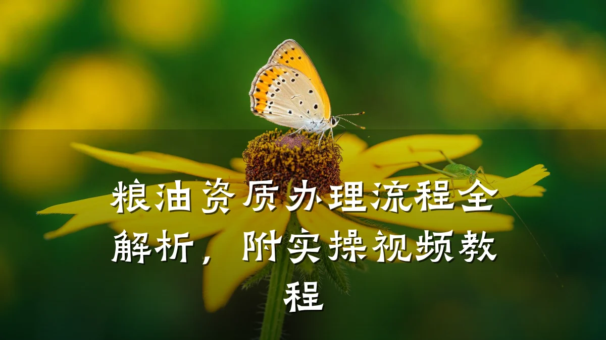 粮油资质办理流程全解析，附实操视频教程