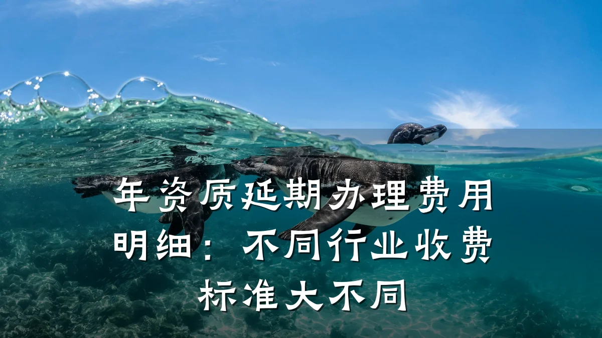 年资质延期办理费用明细：不同行业收费标准大不同