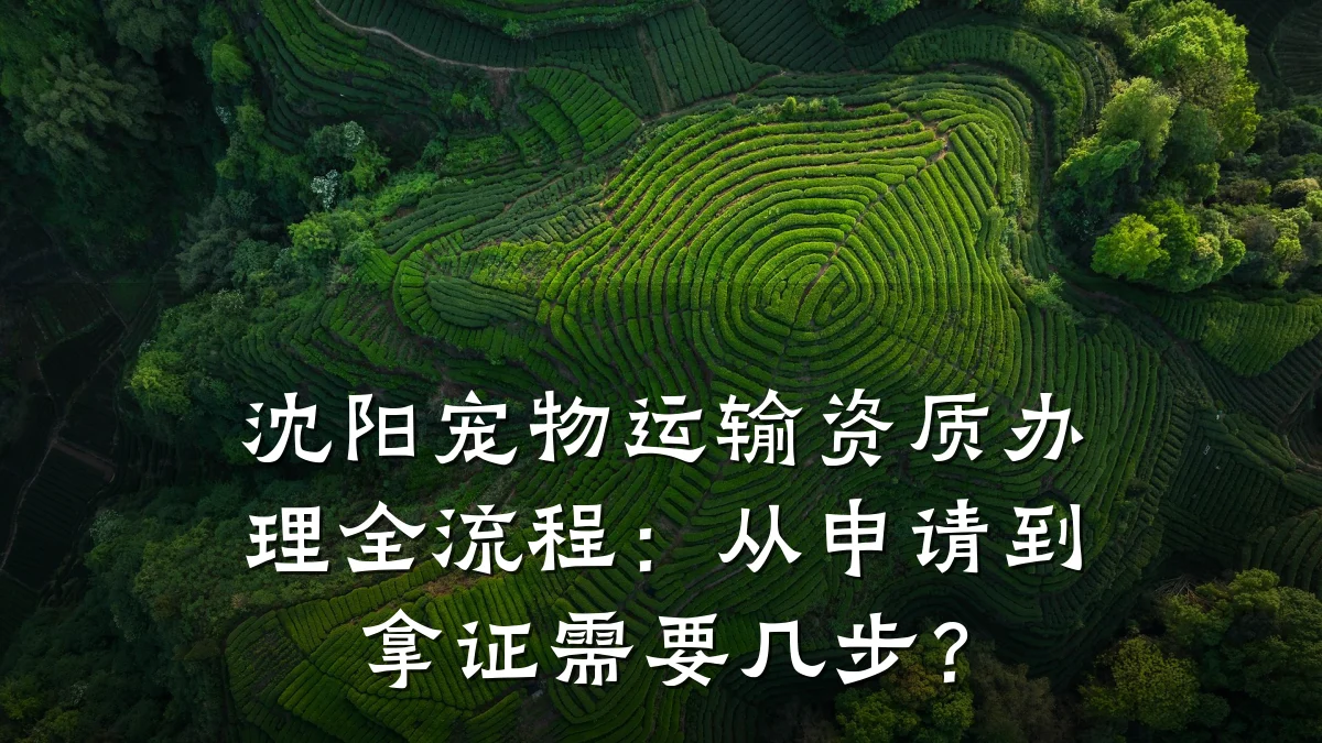 沈阳宠物运输资质办理全流程：从申请到拿证需要几步？