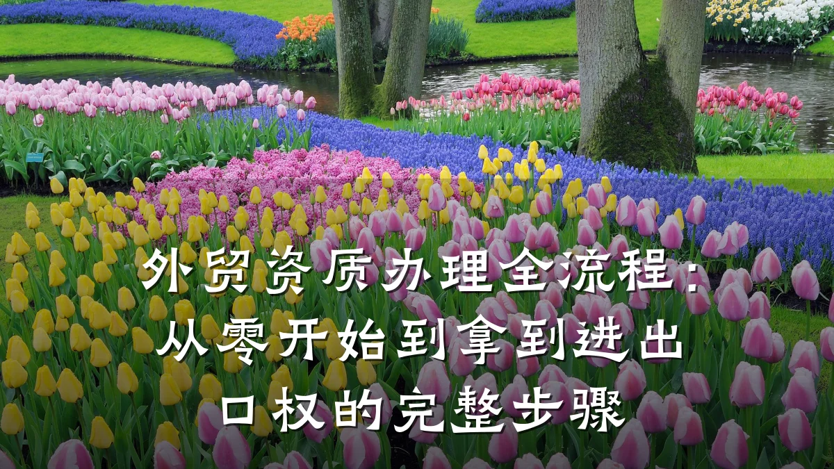 外贸资质办理全流程：从零开始到拿到进出口权的完整步骤