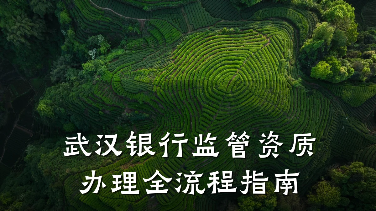 武汉银行监管资质办理全流程指南