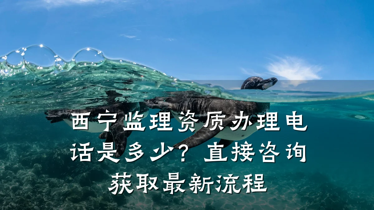 西宁监理资质办理电话是多少?直接咨询获取最新流程