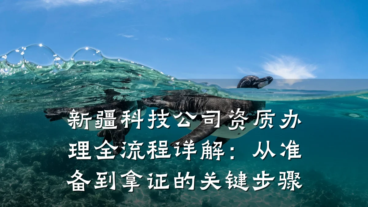 新疆科技公司资质办理全流程详解:从准备到拿证的关键步骤