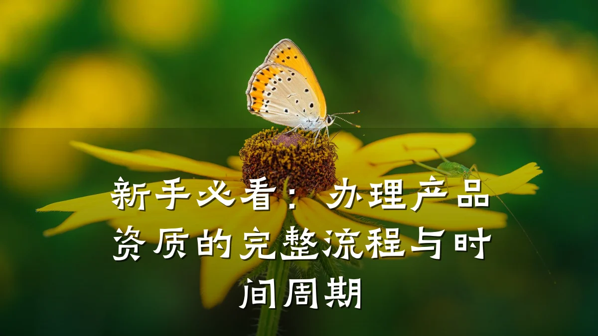 新手必看：办理产品资质的完整流程与时间周期