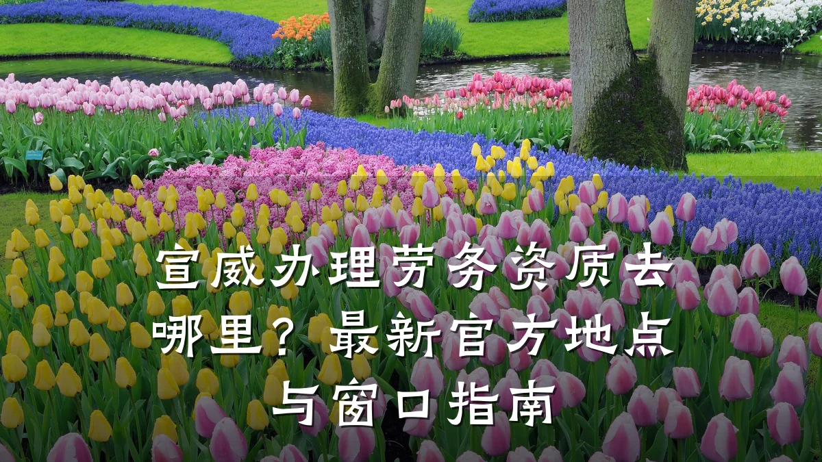 宣威办理劳务资质去哪里？最新官方地点与窗口指南