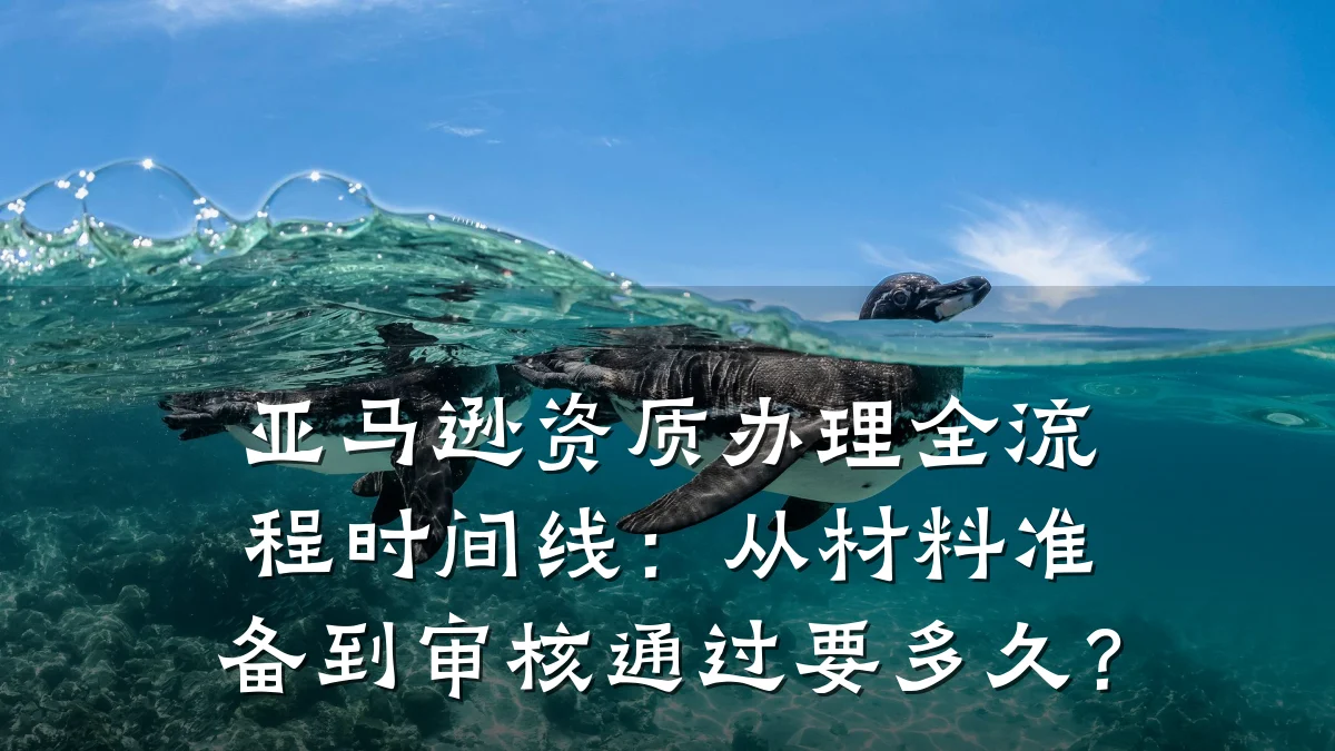 亚马逊资质办理全流程时间线:从材料准备到审核通过要多久?