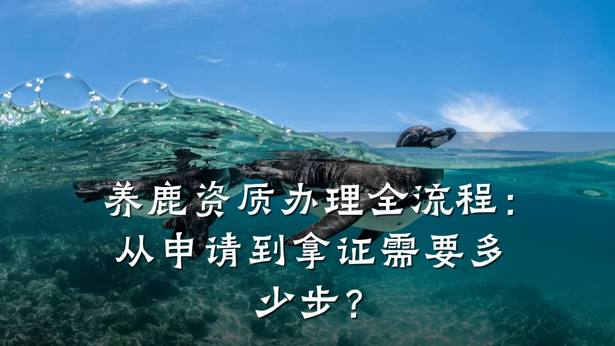 养鹿资质办理全流程:从申请到拿证需要多少步?