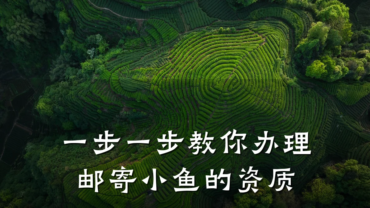 一步一步教你办理邮寄小鱼的资质