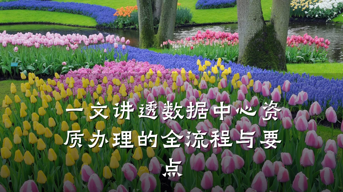 一文讲透数据中心资质办理的全流程与要点
