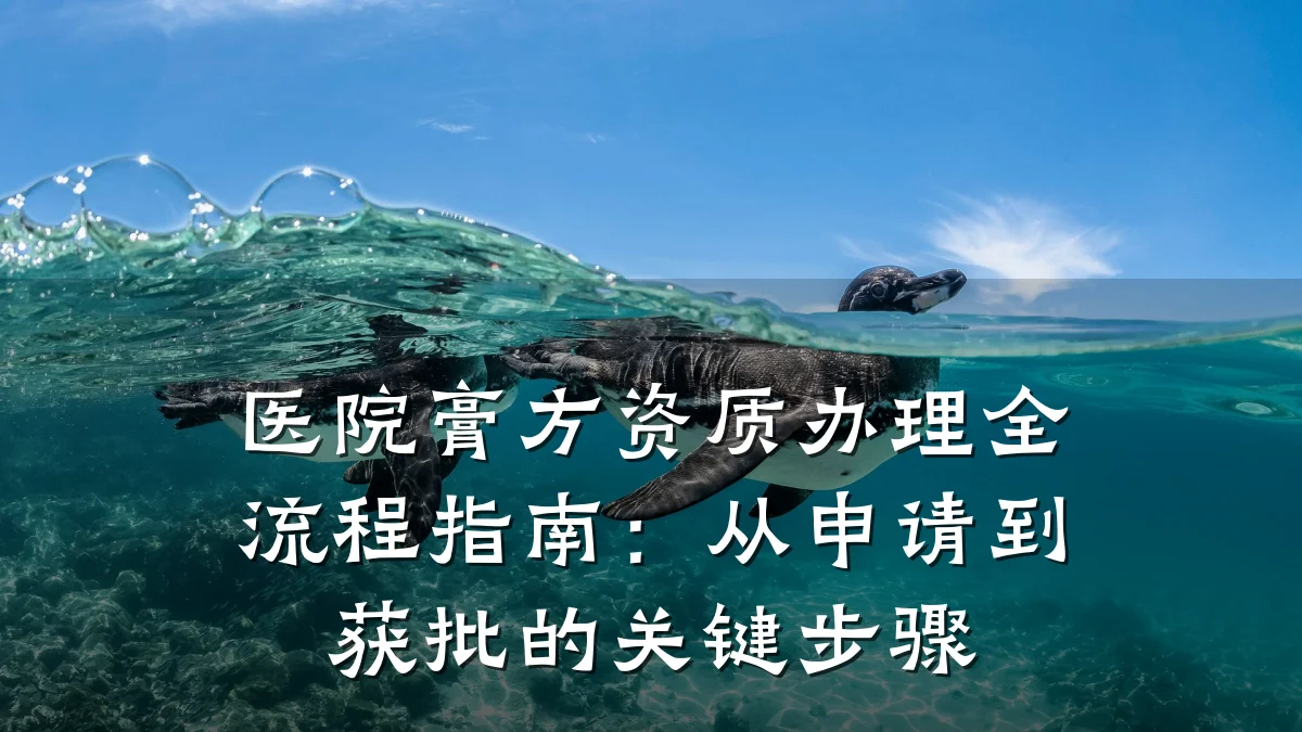 医院膏方资质办理全流程指南:从申请到获批的关键步骤