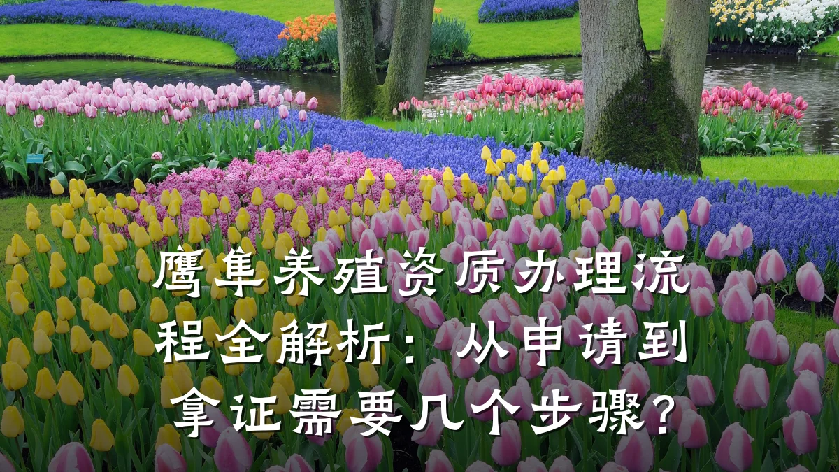 鹰隼养殖资质办理流程全解析：从申请到拿证需要几个步骤？